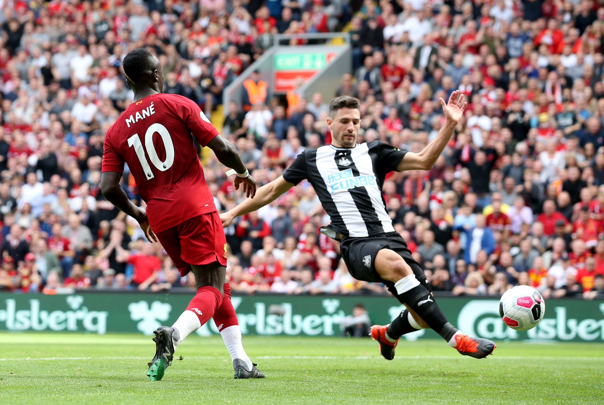 传吃活章鱼 传吃活章鱼